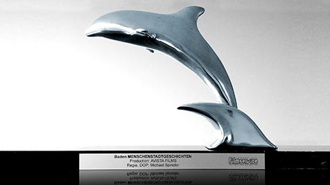Cannes Corporate 2013 Silber-Award